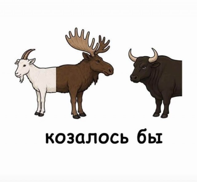 Картинки для деградации 295 (разной степени свежести)