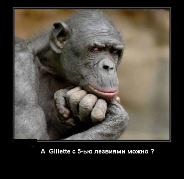 Заходя в ванную комнату, что бы вы хотели увидеть?
