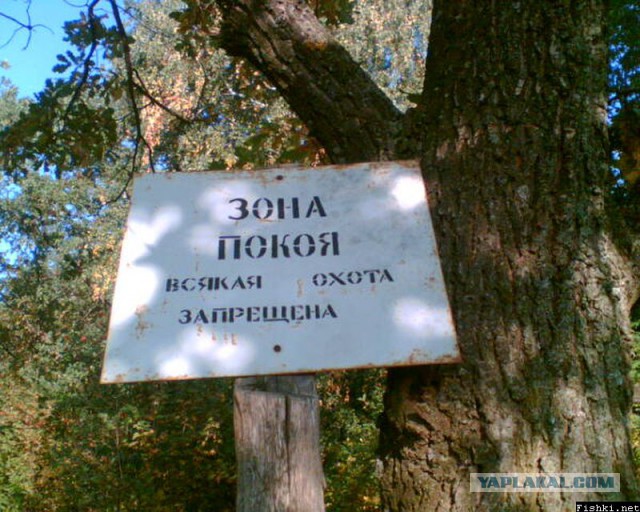Маразмы года 2013
