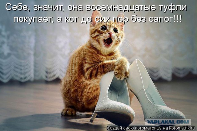 Визуализируем свои ники!