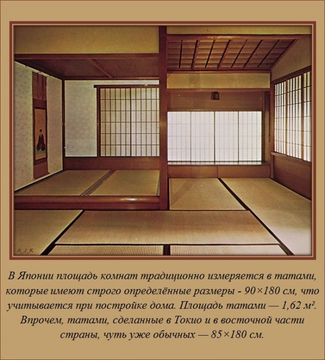 Пёстрые Факты
