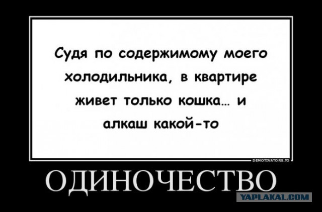 Забавные картинки из Сети