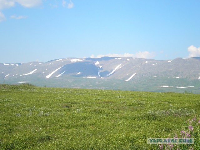 Заполярье