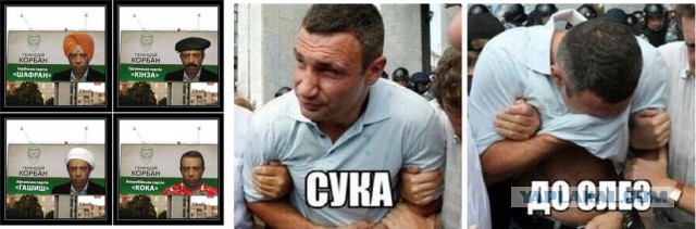 Выборы-выборы! Кандидаты... молодцы.