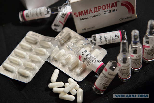 «Жена увидела фото пловца с олимпиады и спросила, почему я не поехал»