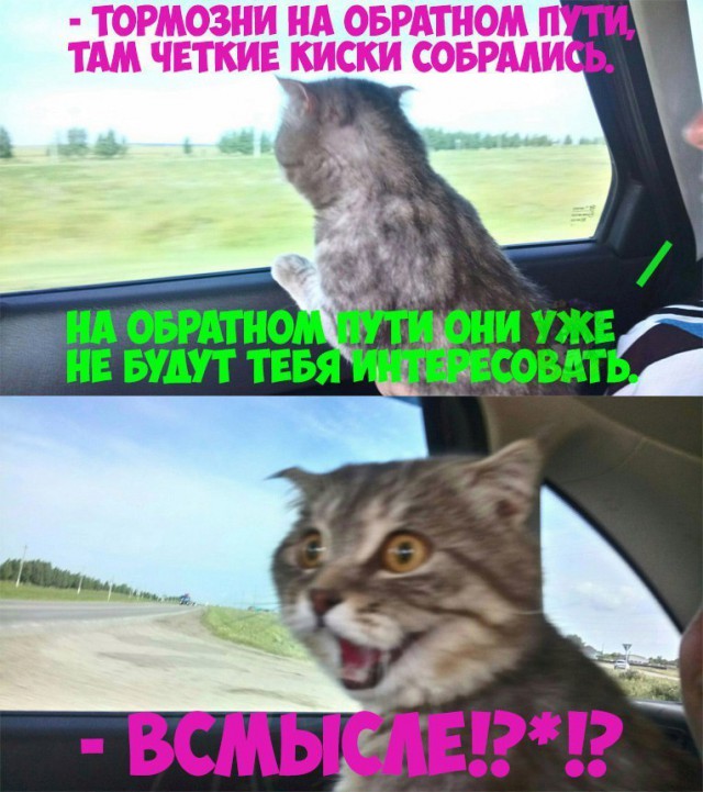 Не очень светлый юмор к середине недели