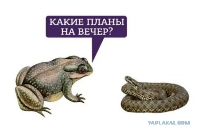 В Москве задержали Алексея Навального