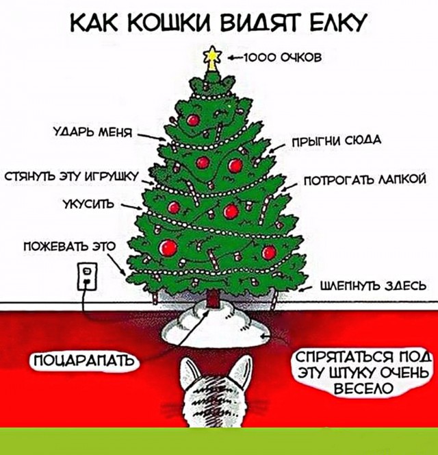 Пора готовиться защищать елки от домашних четырехлапых друзей