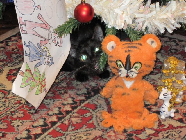 Фотографии кошек на новогодних елках начинают заполнять интернет