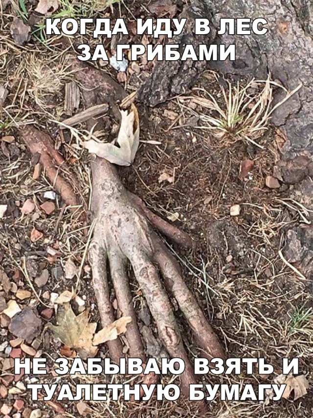 Нестандартный юмор