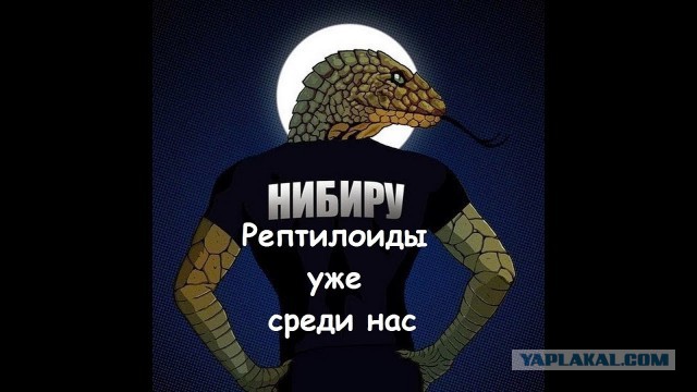 Уфологи нашли на картах Google "рухнувший космический корабль"