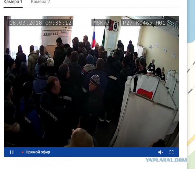 Видеотрансляция выборов 2018