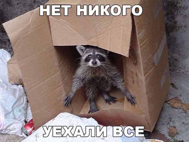 Нестандартный юмор