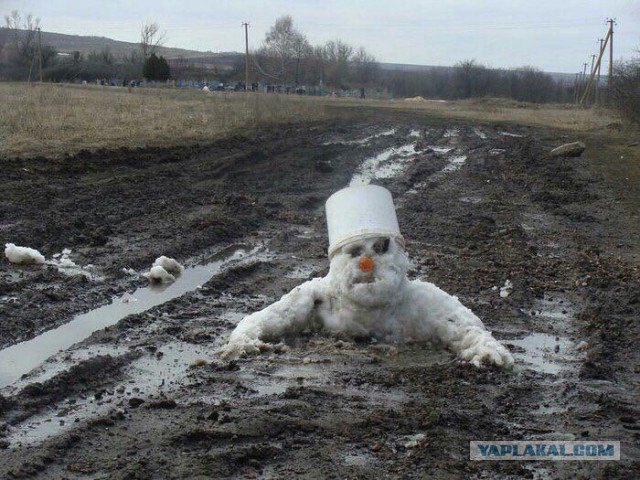 Друзья