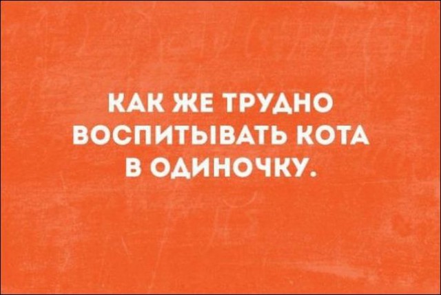Немного текстовых картинок с неоднозначным содержанием. Часть 3