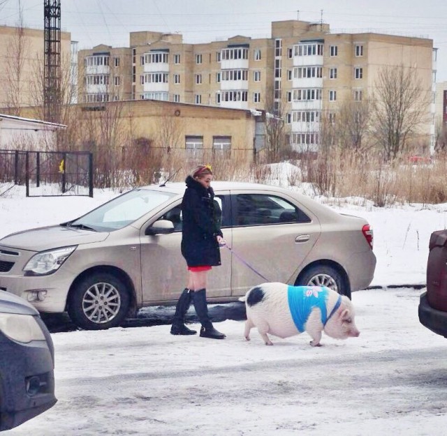 Чудики из социальных сетей