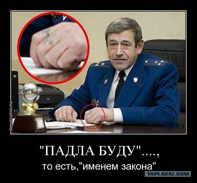 Глава Росгвардии вызвал Алексея Навального «на ринг, татами, куда угодно»