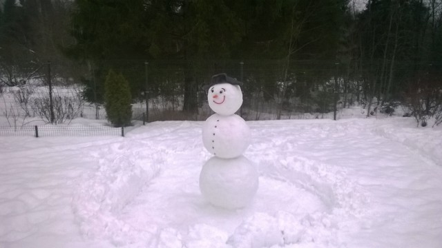 Весь вечер шёл снег...