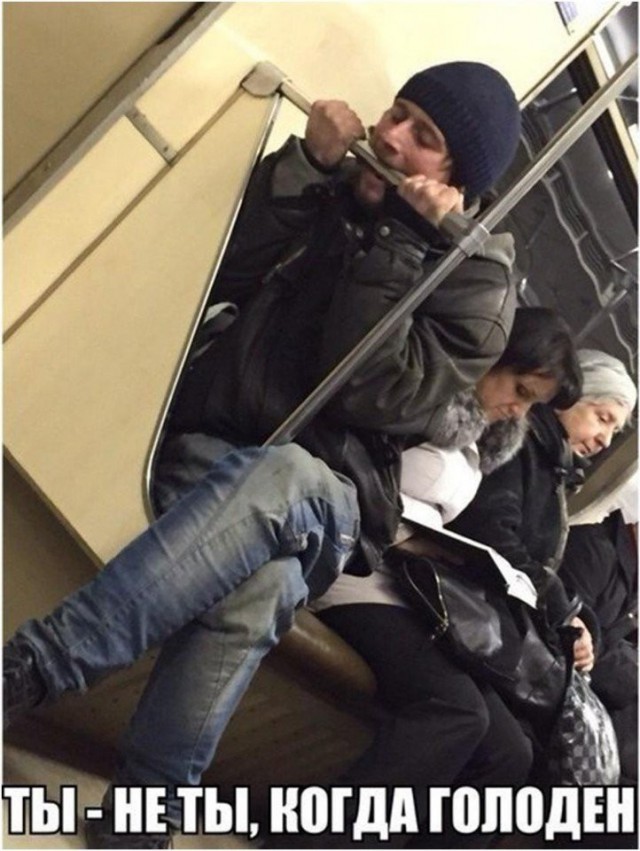 Лента прикольных картинок