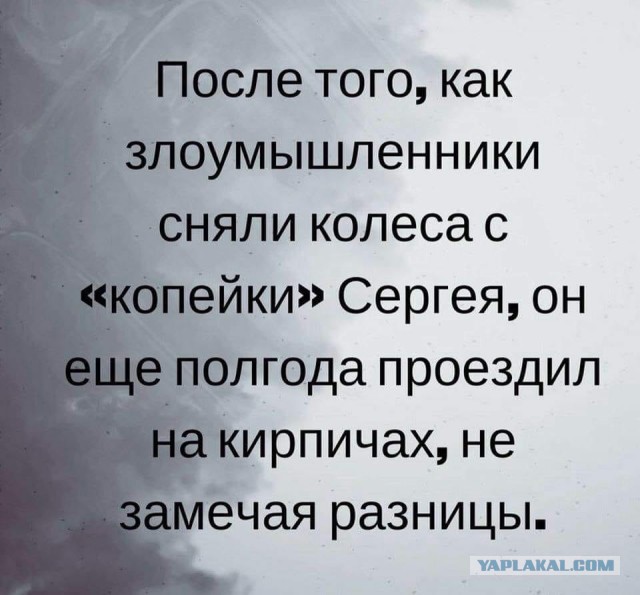 Картинки с надписями, истории и анекдоты 08.10.19
