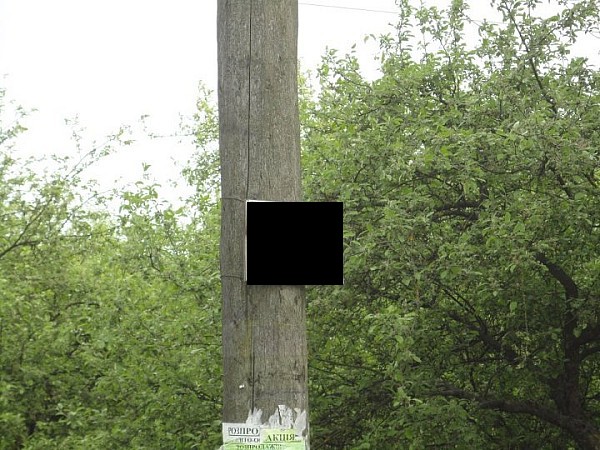 Объявление для Вонни