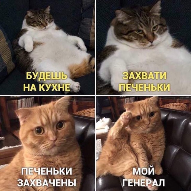 Кто мы на форумах?
