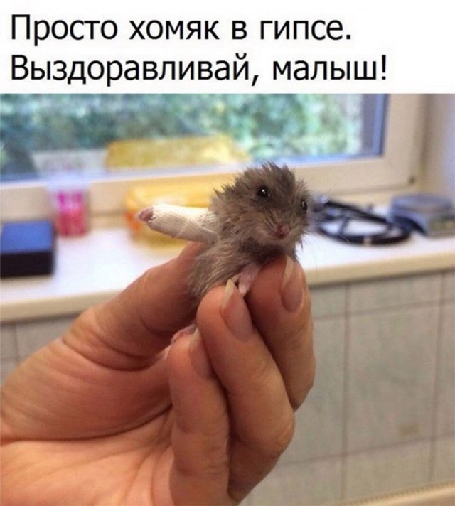 Чуток картинок 07.04.20