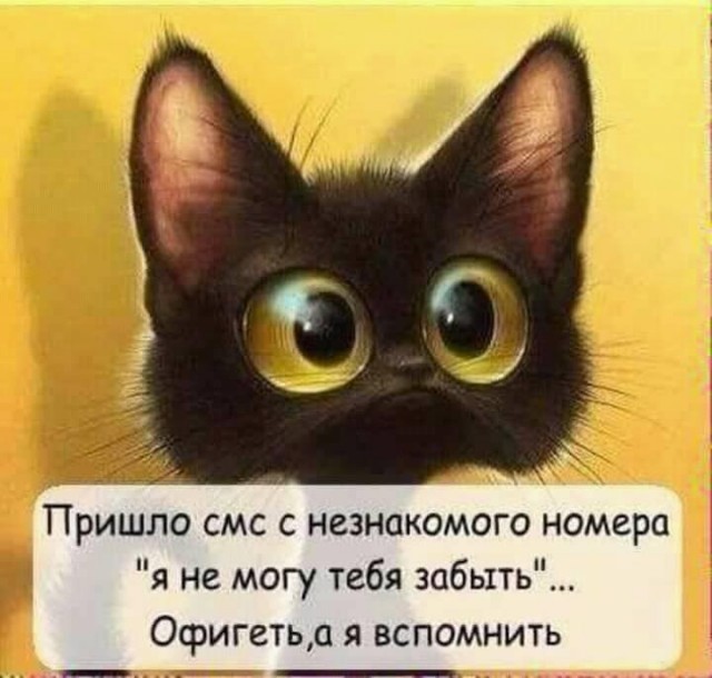 Бредзона 02.05.20