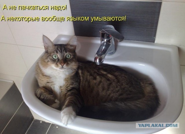Да, это от души