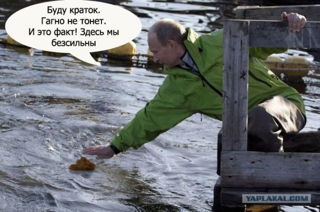 Путин и обитатели морских глубин