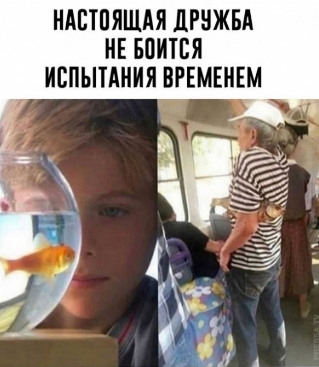 Немного картинок для настроения 30.10.20
