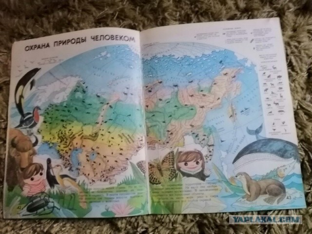 2020 год. Чудовищные изменения реального мира