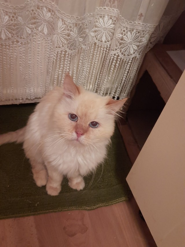 Подборка забавной живности