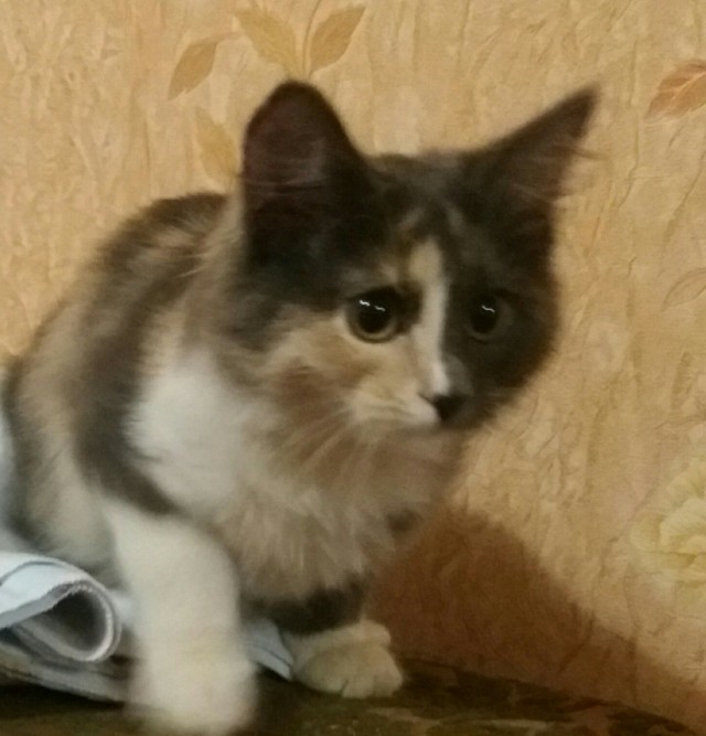 Когда говоришь ей, что у нас уже есть