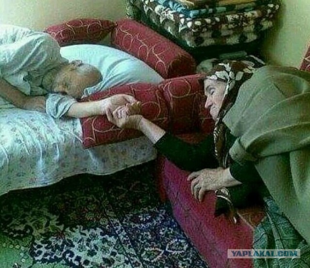 Юмор и прикольные картинки