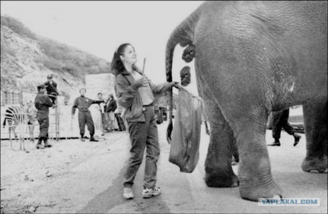 Первый опыт в фотошопе