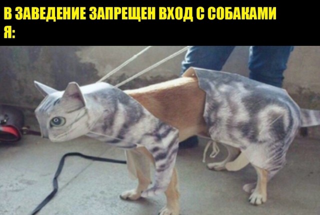 Дебилизмы из сети 04.02.21