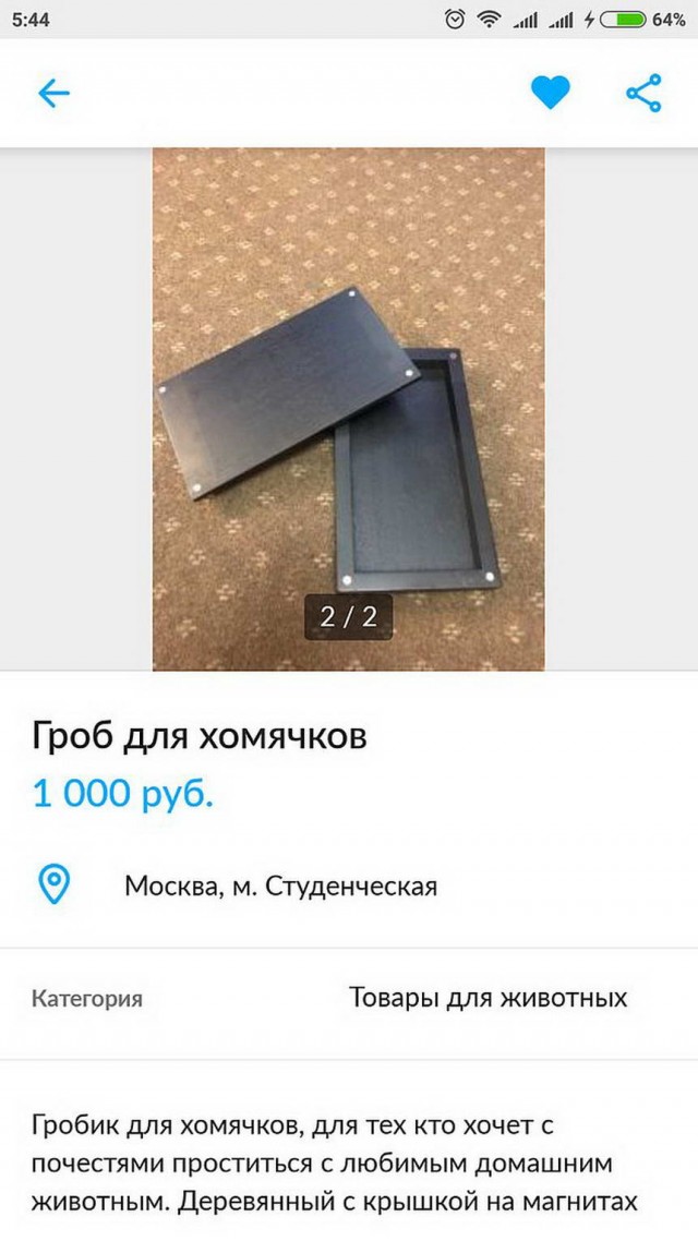 Чудики с Авито