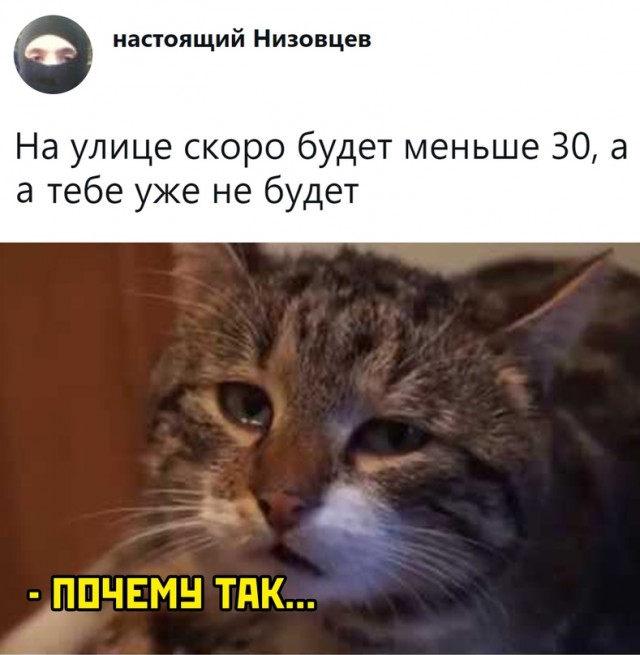 Весёлый полтишок 28.07