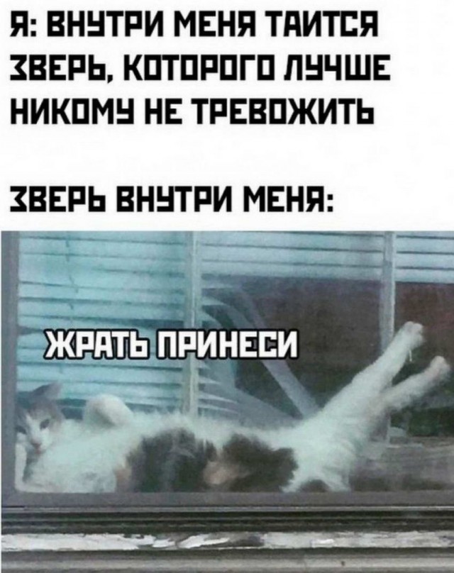 Картинки и мемы для настроения 06.10.2021