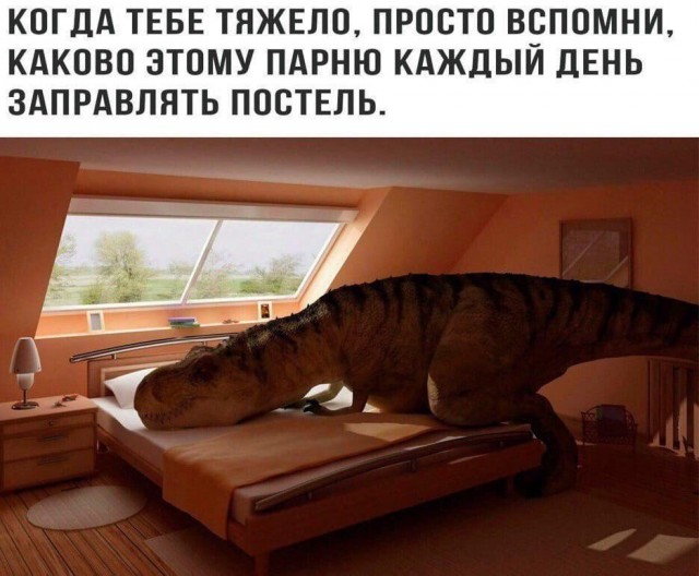 Так себе картинки 10.10.21
