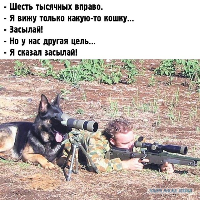 Всяческие картинки 02.11.2021