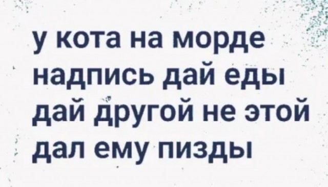 Картинки и мемы для настроения 11.11.2021