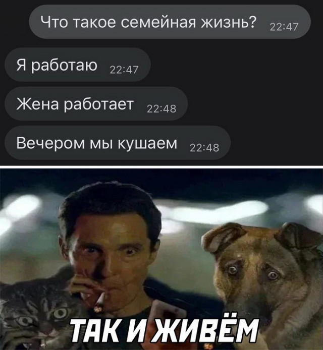 Картинки и мемы для настроения 01.12.2021