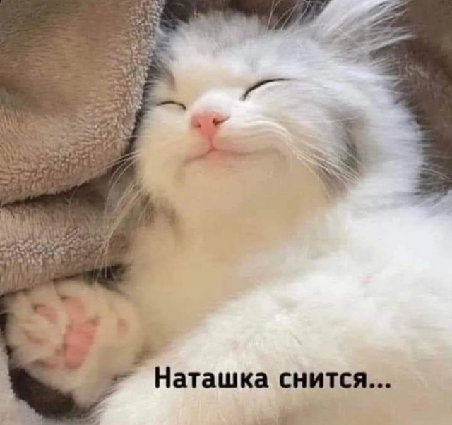 Так себе картинки 25.12.21