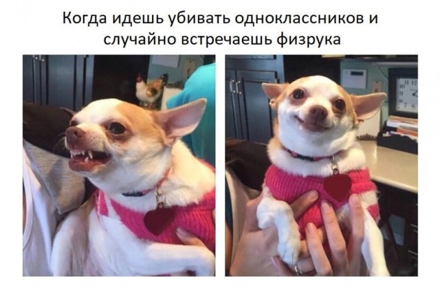 Аморальная деградация