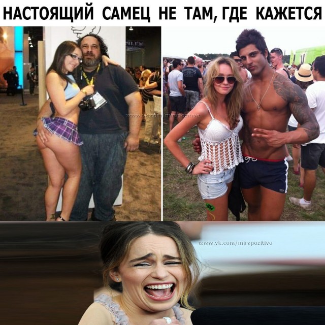 Так себе картинки 07.02.22