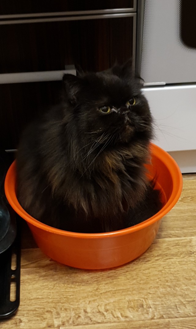 Котовторниковское