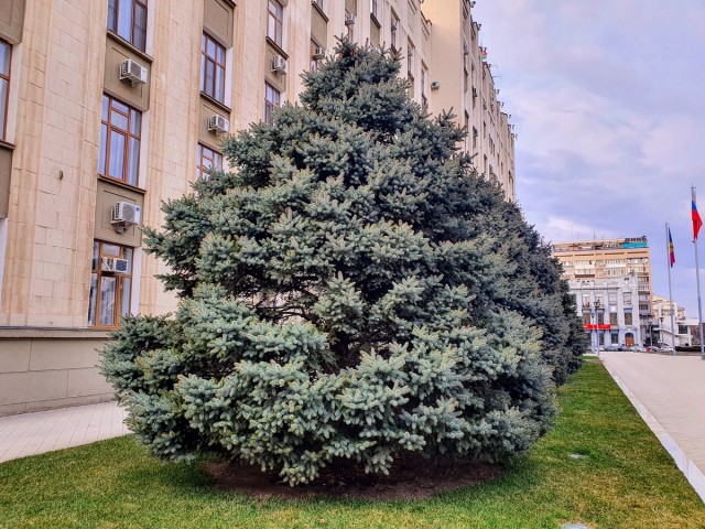 Завтра была война