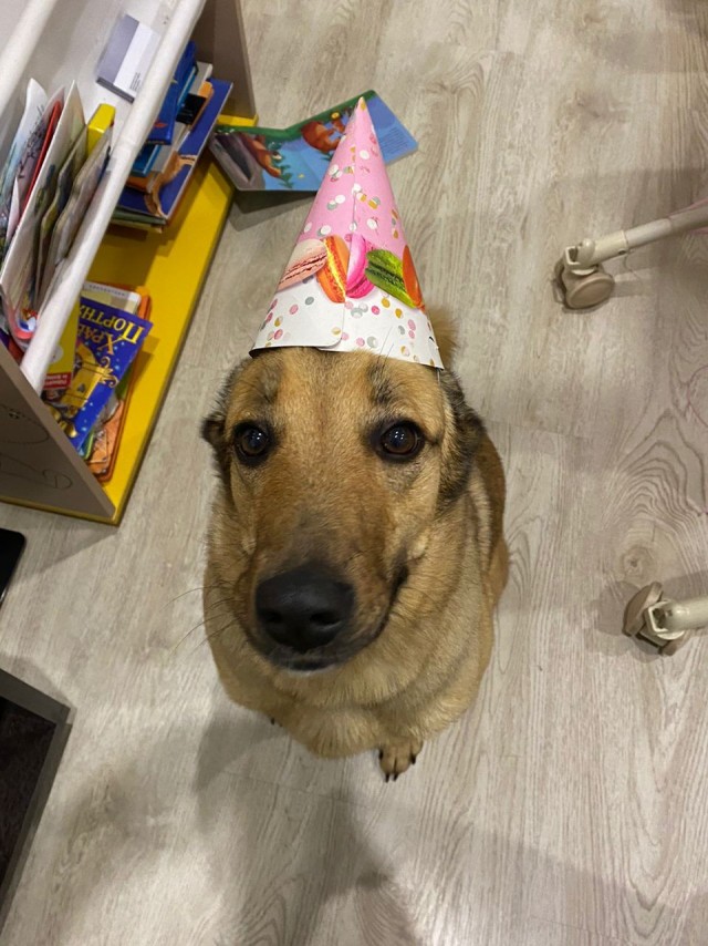 Четверг. Моя собакен